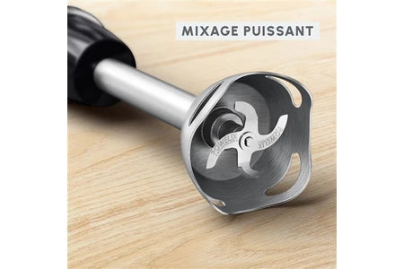 Pied mixeur Moulinex Quickchef 3en1 DD673810