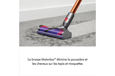 Aspirateur balai Dyson V10 ABSOLUTE